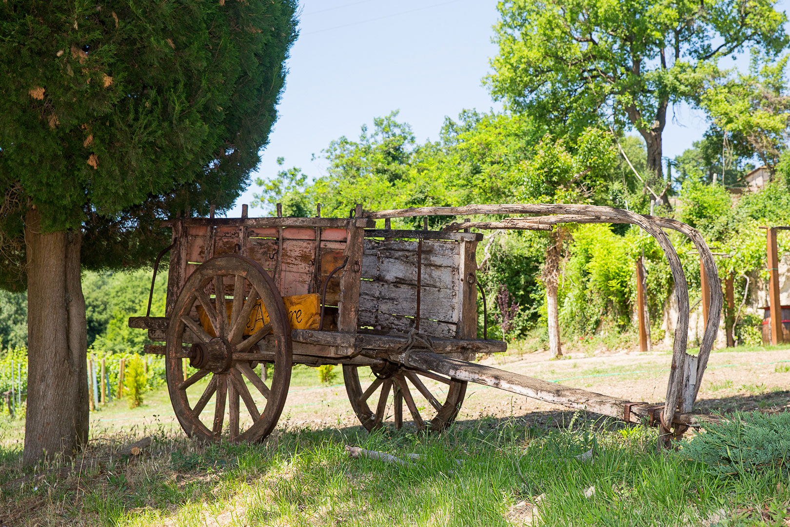 Agriturismo Le Anfore Tuscany